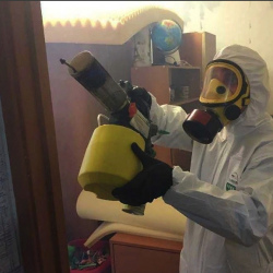 Уничтожение клопов в квартире. Южное Медведково
